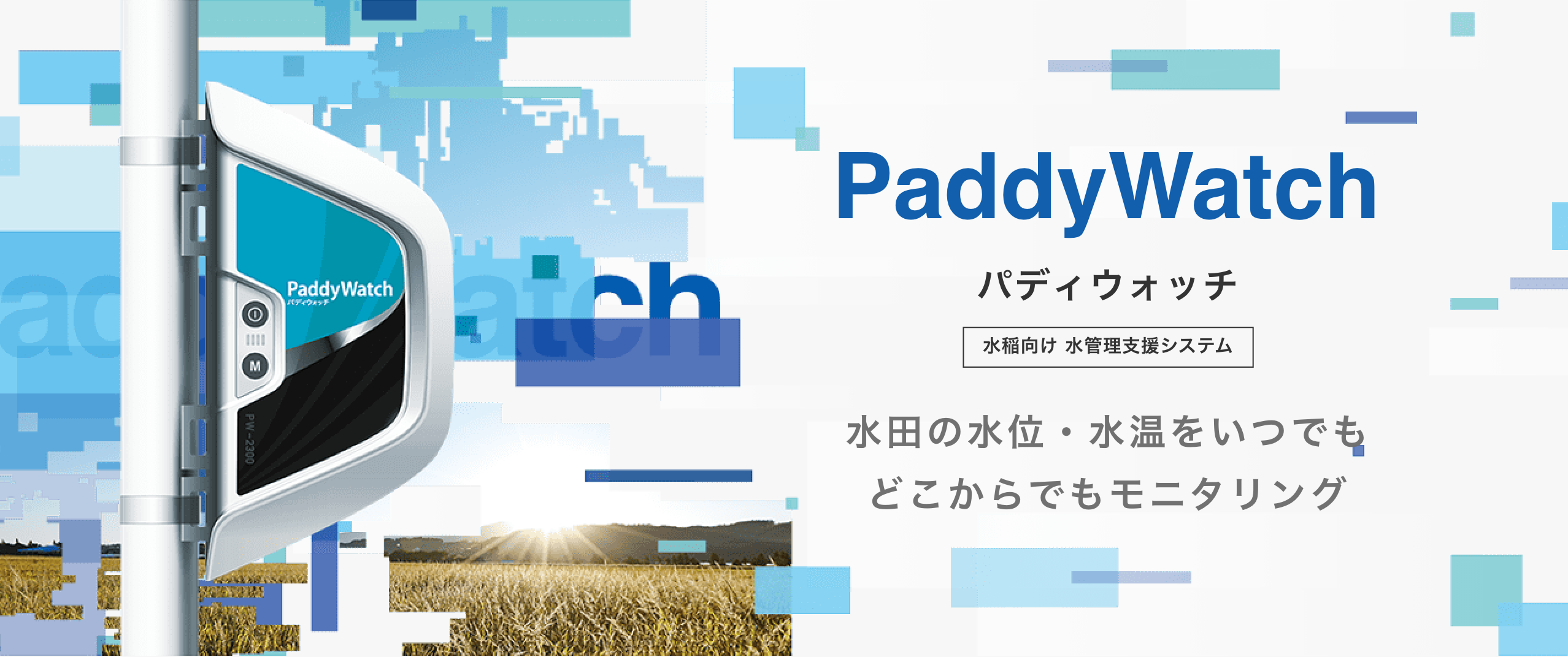 PaddyWatch（パディウォッチ）:水稲向け水管理支援システム、水田の水位・水温をいつでもどこでもモニタリング